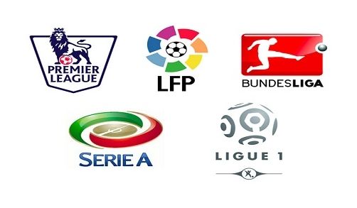 的猜测也有 的猜测也有